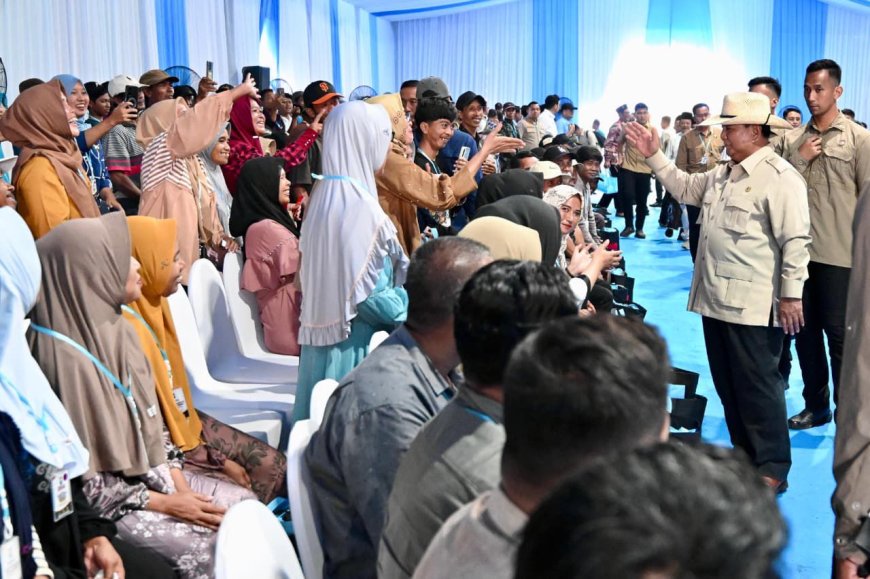 Optimisme Petani Menguat dalam Panen Raya Jagung Nasional