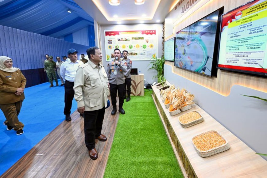Stok Beras Nasional Tembus 5,3 Juta Ton, Ketahanan Pangan Menguat
