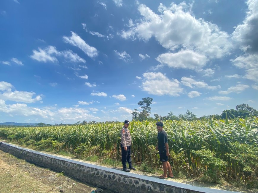 Polisi Dampingi Petani, Polres Malang Dorong Produksi Pangan Berkelanjutan